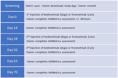 Measuring the effect of the anti-nerve growth factor antibodies bedinvetmab and frunevetmab on quality of life in dogs and cats with osteoarthritis using a validated health-related quality of life outcome measure: an observational real-world study